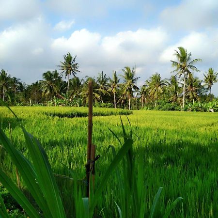 Uma Loka Villa Ubud Esterno foto