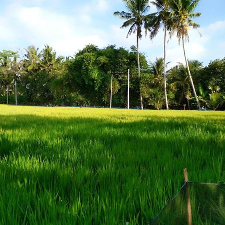 Uma Loka Villa Ubud Esterno foto
