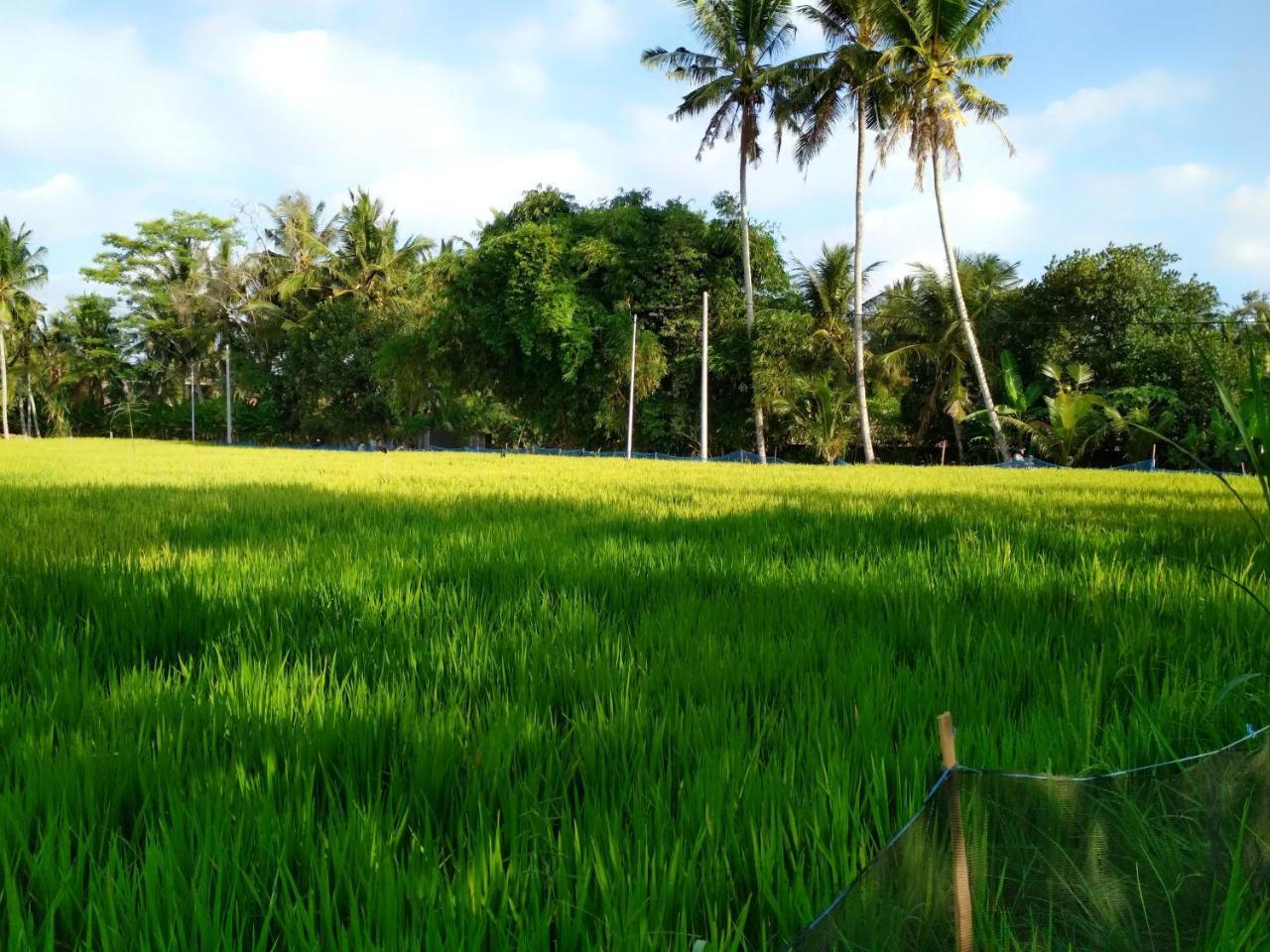 Uma Loka Villa Ubud Esterno foto